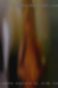 Wanna explore bi side looking and bbc.