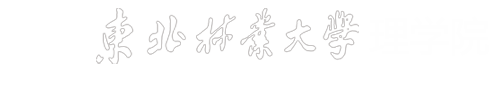 2026世界杯官网